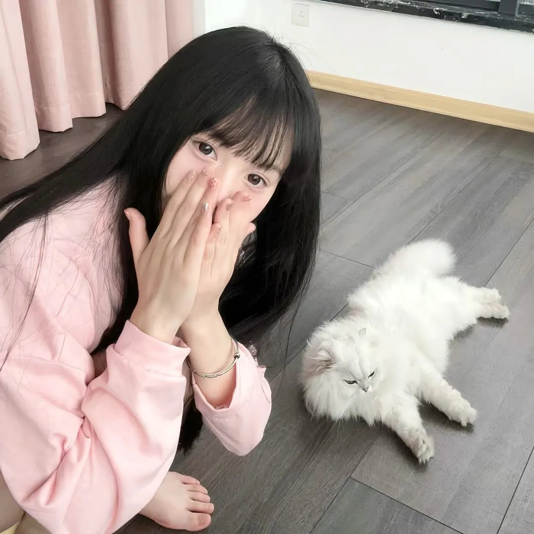 行动日